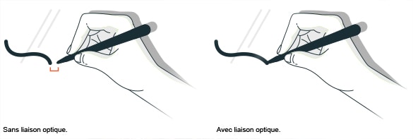 Liaison optique